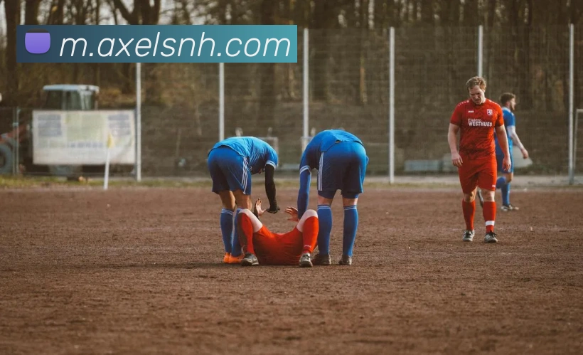 App功能展示图
